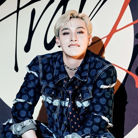 BANG CHAN (Stray Kids)