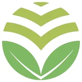 LemonTree