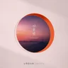  서울 밤