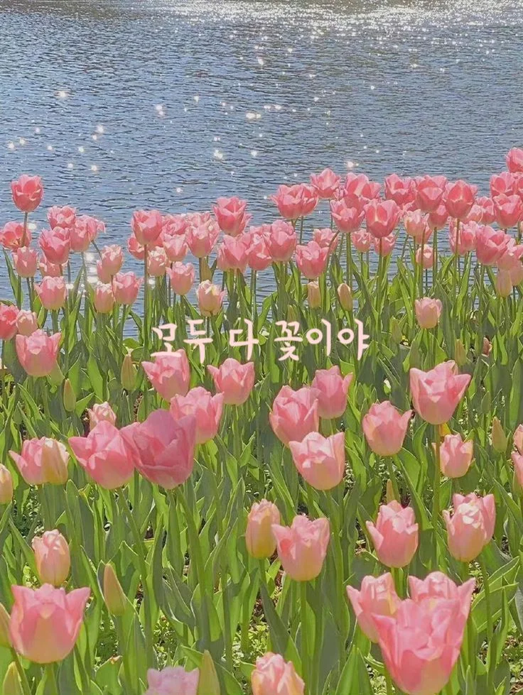 모두 다 꽃이야 (모두다꽃이야/국악버전/동요) by Claire