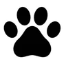 bear's paw