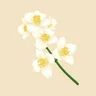 S T A Y 스테이힐링뮤직 healingmusic