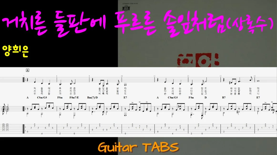 Like green pine needles in a rough field (Evergreen) (+) - Yang Hee-eun by M&P Guitar