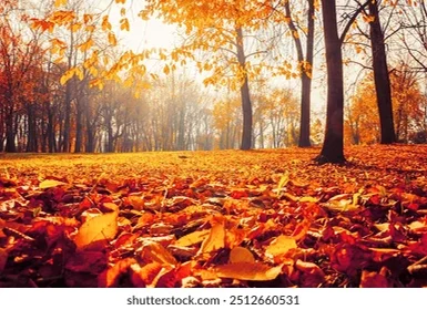 Four little Seasons (Autumn) - Celio Vieira Peixoto by Celio Vieira Peixoto