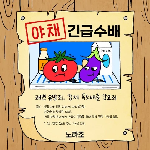 야채