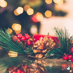 Enjoying Christmas