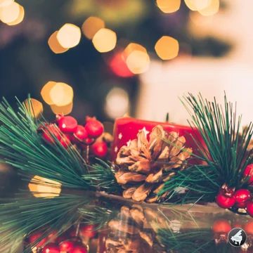Enjoying Christmas
