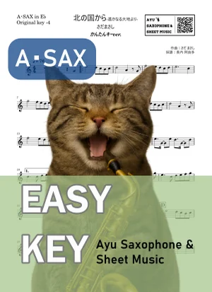 北の国から~遙かなる大地より~ - Masashi Sada (alto saxophone / easy key) by Ayu Saxophone & Sheet Music