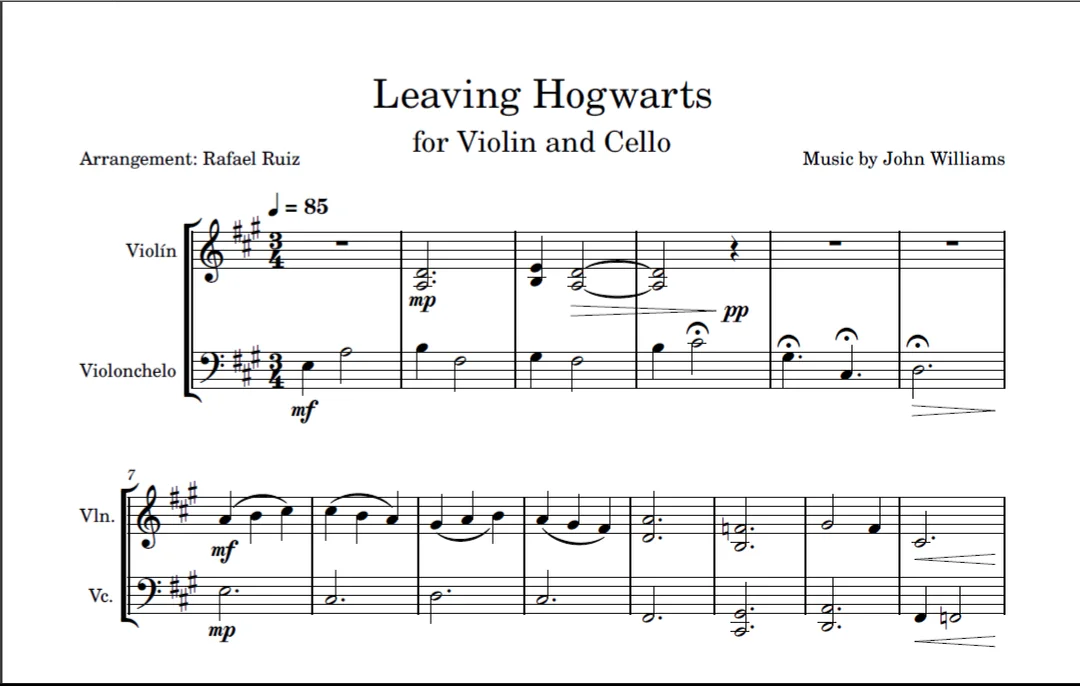 Leaving Hogwarts - John Williams (Violin and Cello Duo) by Rafael Ruiz