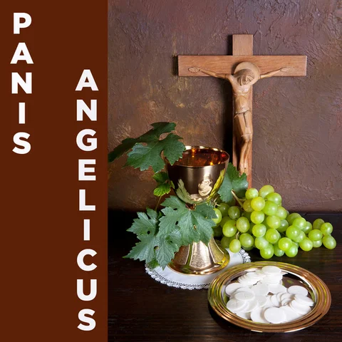 Panis Anselicus
