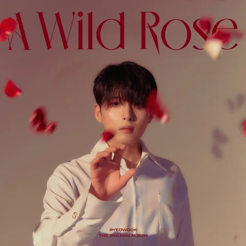 오늘만은 (Hiding Words)