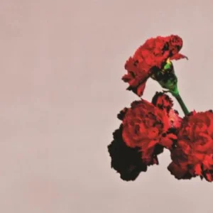 All of Me钢琴版钢琴谱五线谱-John Legend - John Legend by John Legend