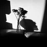 愚人節快樂 (All Fool’s Day)