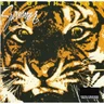 Eye Of The Tiger