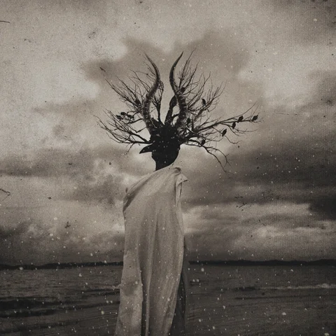 Black Star