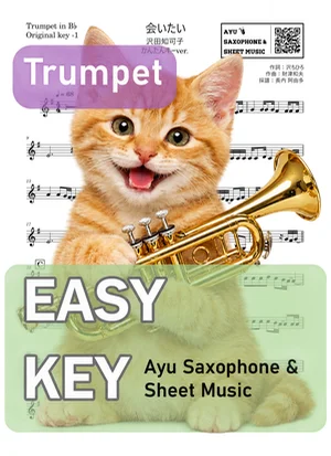 会いたい - 沢田知可子 (トランペット かんたんキー(原曲キー-1)) by Ayu Saxophone & Sheet Music