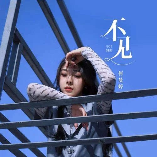 不见 - 何曼婷 by c