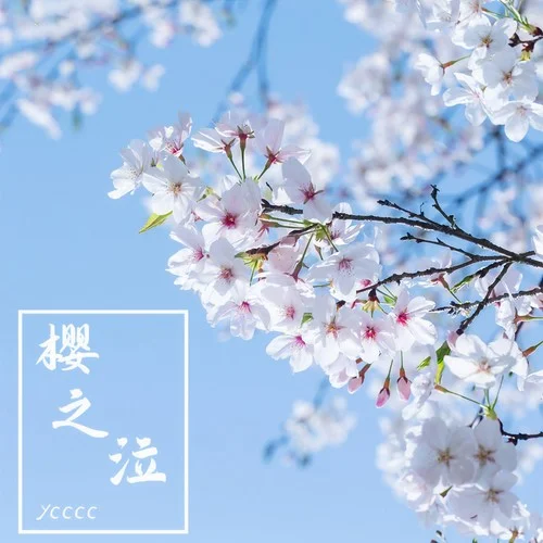 樱之泣 - 余澈 by c