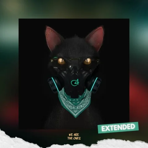 Gato de Noche