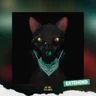 Gato de Noche