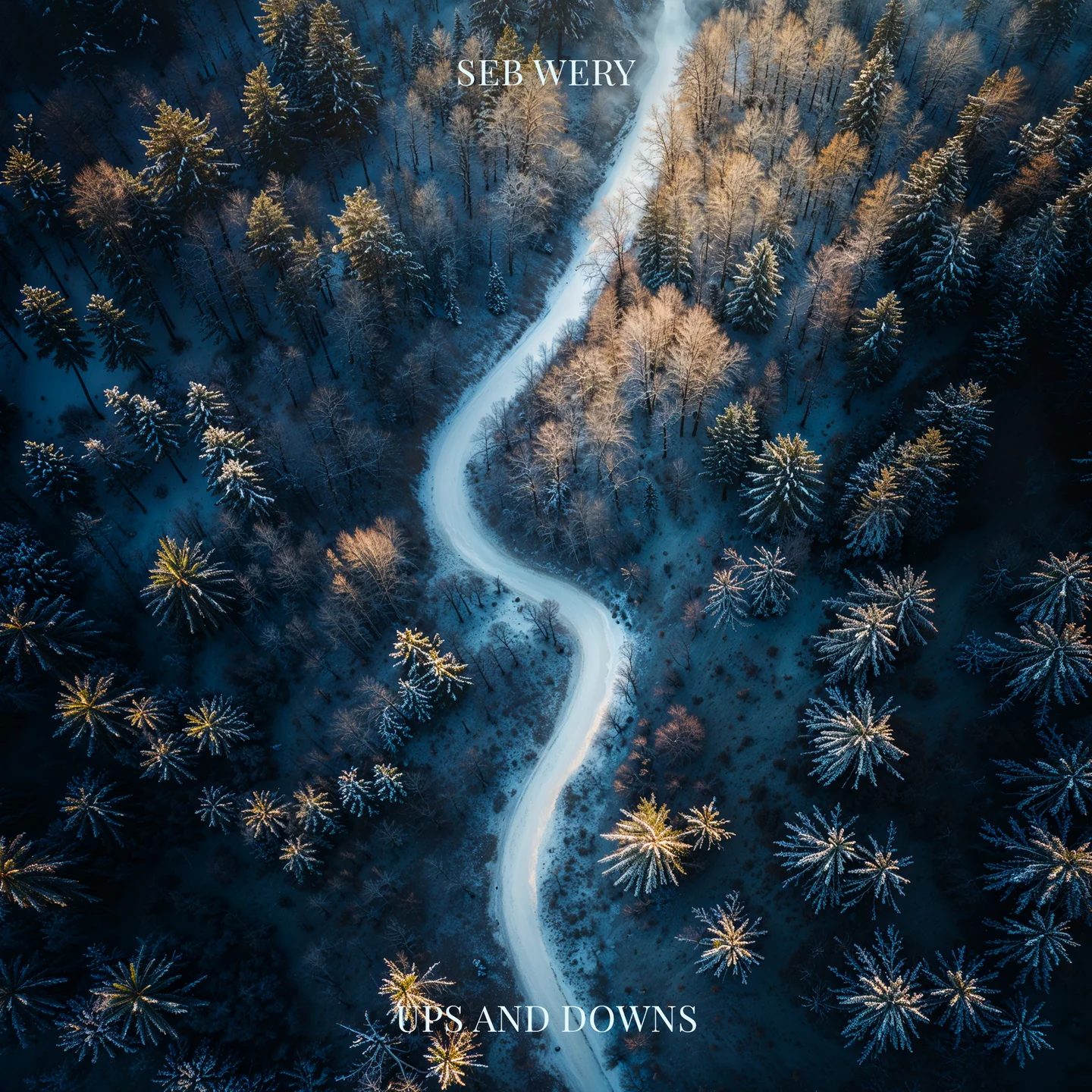 Ups And Downs - Seb Wery by Seb Wery