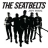The Seatbelts