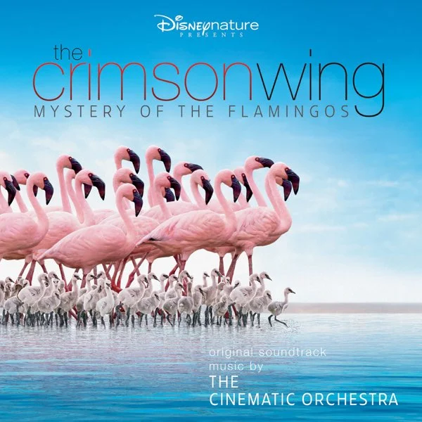 Arrival of the birds - Jason Swinscoe (Mystery of the Flamingos OST - For Piano Solo) by poon