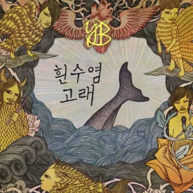 YB - 흰수염고래 | Band Score