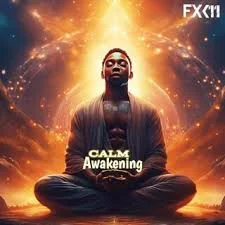 A CALM AWAKENING - FXK11