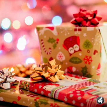 Special Christmas Packages!