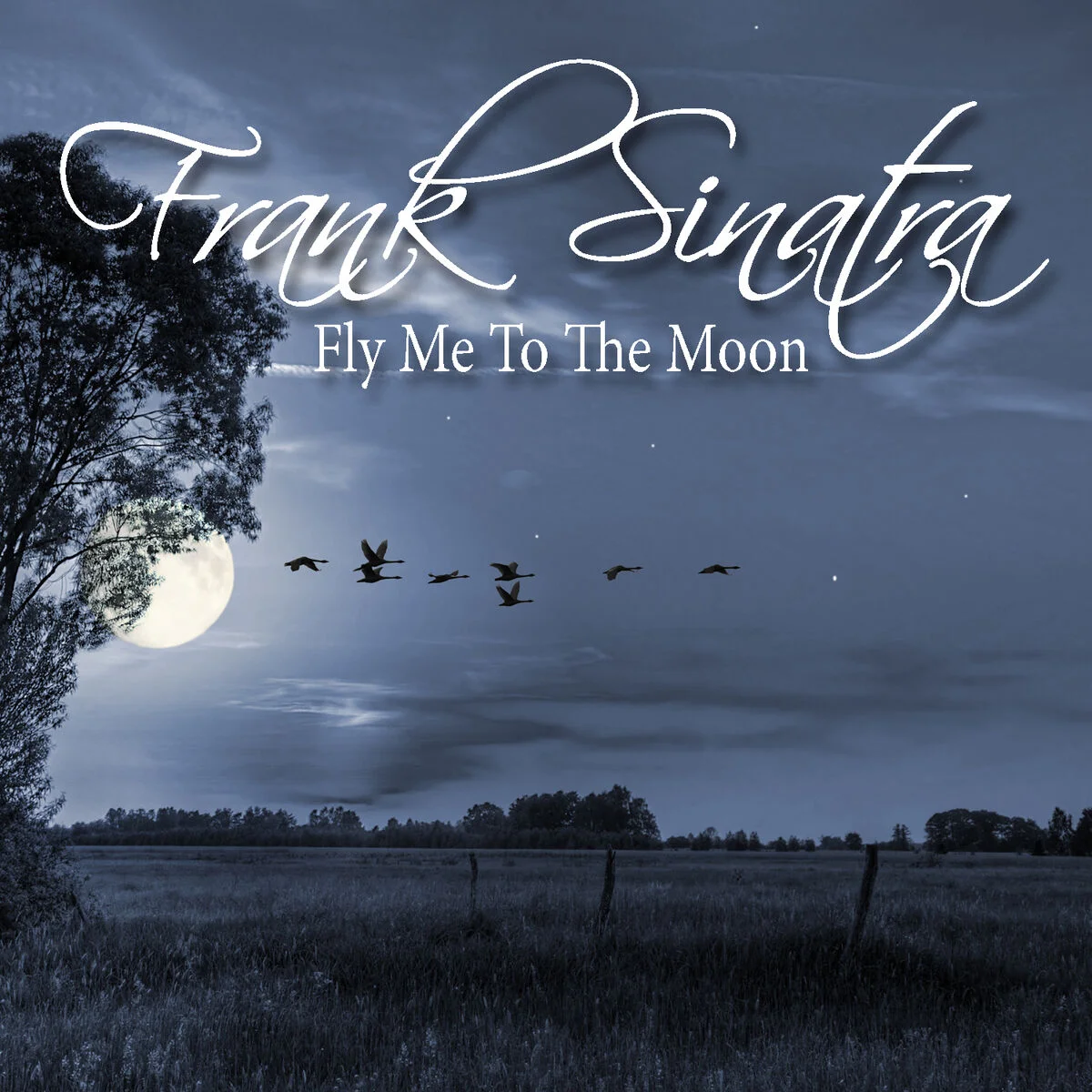 Fly Me To The Moon (Easy Version) - Frank Sinatra by Praxton Cheung