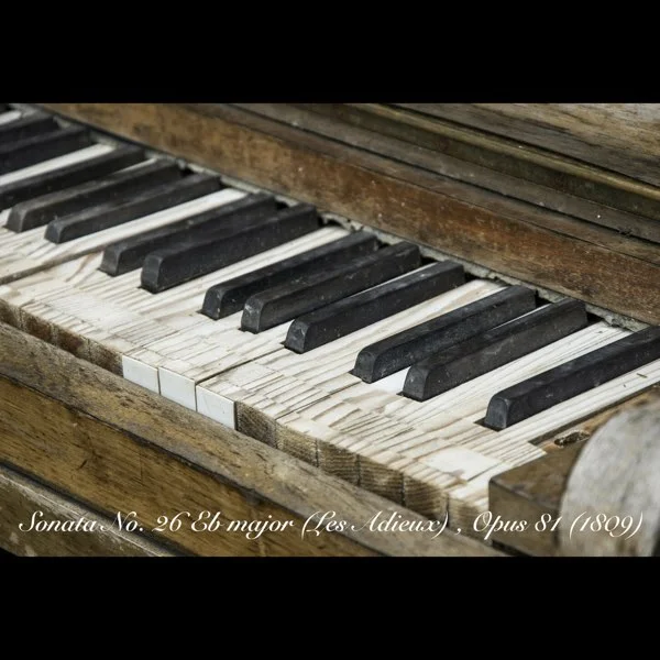 Piano Sonata No.26, Op.81a,"Les Adieux"1st Mov - Ludwig van Beethoven (for Piano Solo With Fingered Original) by poon