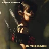 In the Dark