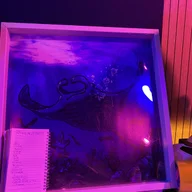 Aquarium