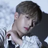 Lee Chanwon