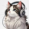 NorCat