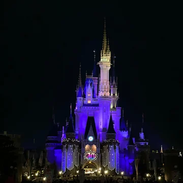 Disney Music-迪士尼音樂