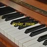 daydaypraise