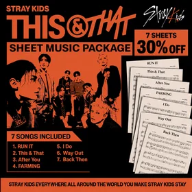 STRAY KIDS COLLECTION: THIS & THAT