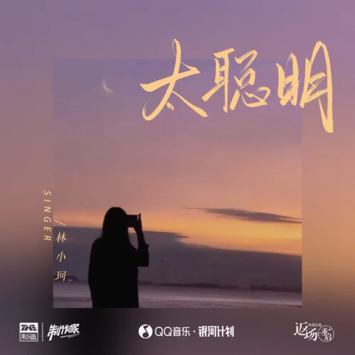 太聪明 - 林小珂 by cc210