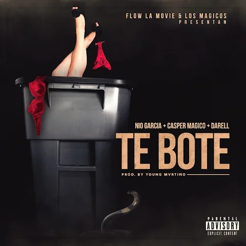 Te Bote Remix
