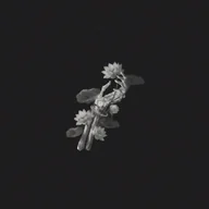 A Thousand Years