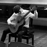 Mcmanaman Guitar 