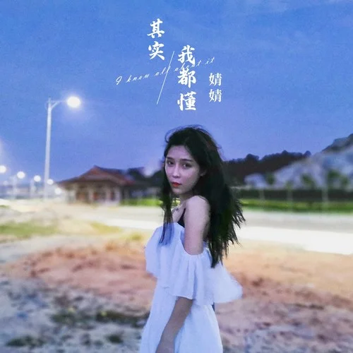 其实我都懂 - 吴婧文 by c