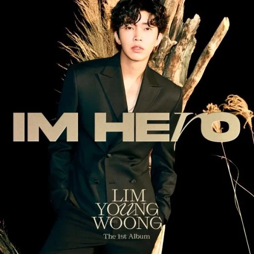인생찬가 - Lim Young-woong (매우쉬움) by JD MUSIC