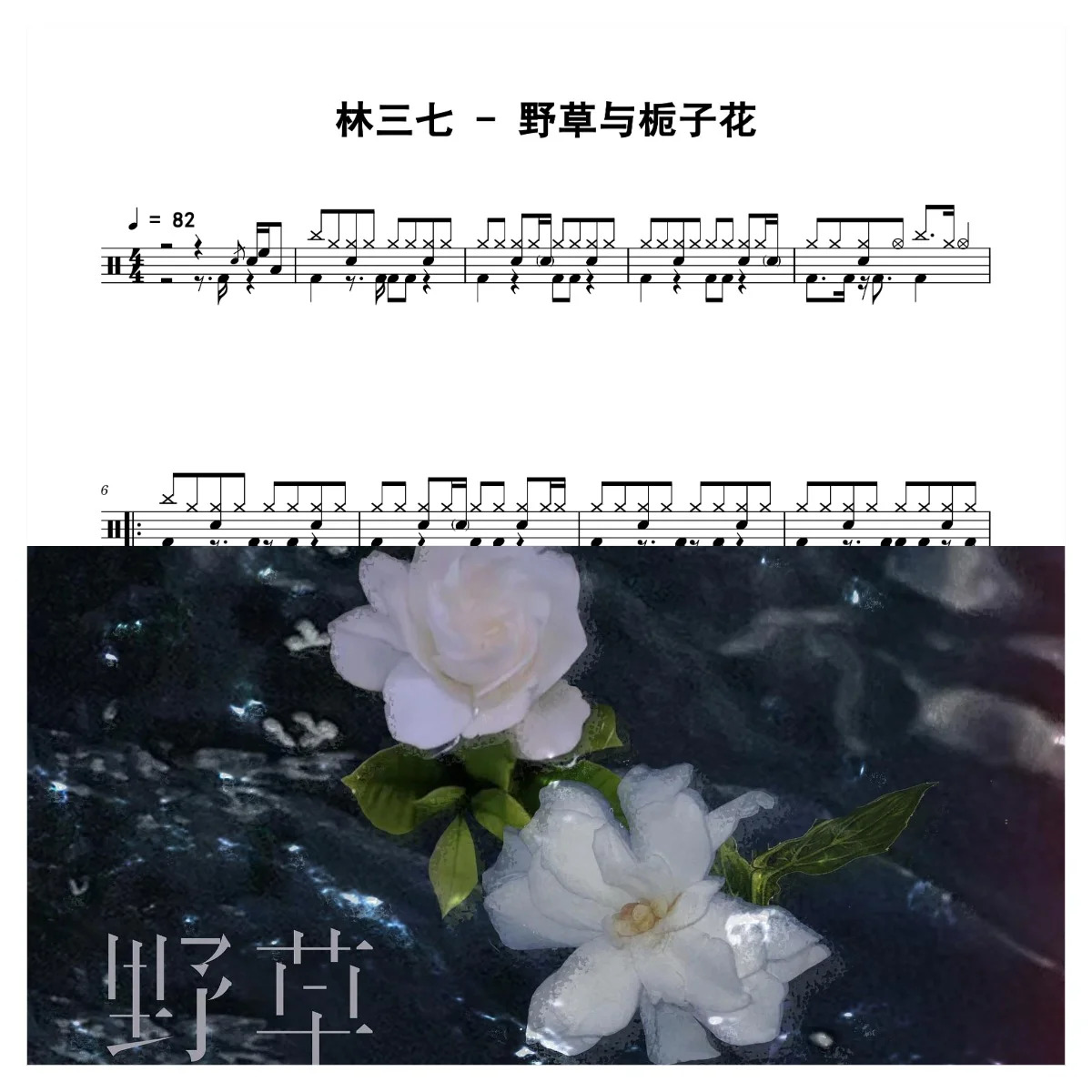 野草与栀子花 - 林三七 by 老虎不说谎