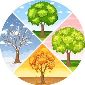 Complete The Four Season - Vivaldi