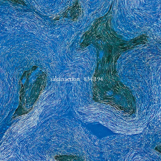 忘れられないの - sakanaction by WooJDrum