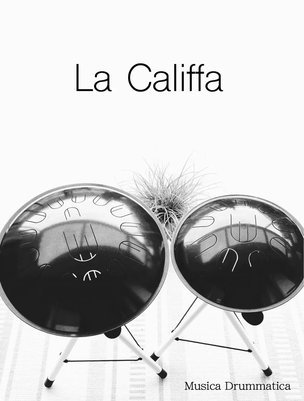 La Califfa - Ennio Morricone (for tongue drum) by Musica Drummatica
