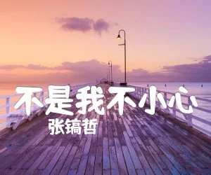 张镐哲 A《不是我不小心》（粤语版是《一生不变》最新改编精编PDF共6页钢琴谱 五线谱 钢琴版 - 张镐哲 by 张镐哲
